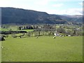 Llanrwst farmland