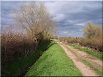 SO5443 : Bridleway and Drainage Ditch to Sutton Marsh by Bob Embleton