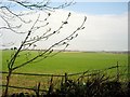 Field west of Old Stoke Road