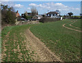 Footpath at Swillington Common