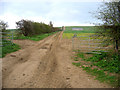 Farm track from Grange Road, Ickleton, Cambs