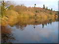 Trenchford Reservoir