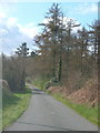 SX8183 : Lane near Moor Barton by Derek Harper