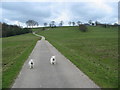 Barns Lee Farm