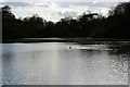 Lake near Birch