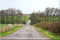 SK5416 : Farm Road to Whatoff Lodge by Kate Jewell