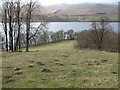 Loch Tay shore near Margbeg