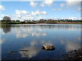 Mill Loch, Lochmaben