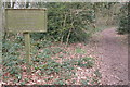 Bridleway through Birchypark Wood