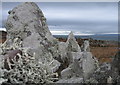 NM6695 : Lichen on Rock by Lisa Jarvis