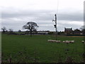 Bartie Farm near Dudleston