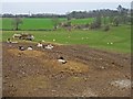 Farmland at Thrislington