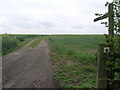 Footpath from Tuxford