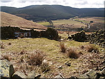 NT2714 : Sheepfold above Ramseycleuch by Clive Nicholson