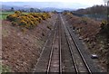 Looking southeast down the line