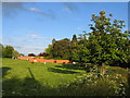 Fields at Wappenbury