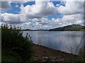 Shoreline and Loch Fyne