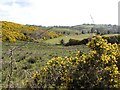 Tawnymore Townland