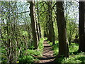 Footpath - Riding Lane Hildenborough