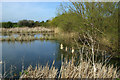 Doggetts Farm Fishery