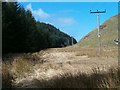 NM8201 : Electricity poles beside Kilmartin Forest by Patrick Mackie