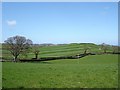 Green fields of  Llannefydd