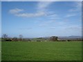 Cefn Berain fields