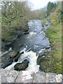 River Towy flowing south at Dolauhirion