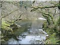 River Irfon Washpool