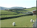 The dead centre of Trawsfynydd