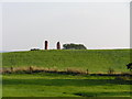 Modern Standing Stones