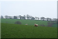 ST0128 : Upton: by Lotley Farm by Martin Bodman