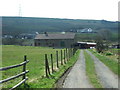 The road to Far Scotland Farm