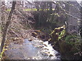 Melgam Water East of the Bridge of Lintrathen