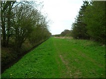 SE6346 : Bridleway above Lockwood's Plantation by DS Pugh