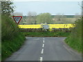 SU0209 : Road Junction, Dorset by Stuart Buchan