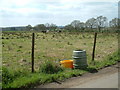 Grazing, Woodlands, Dorset