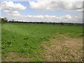 Field and Clouds