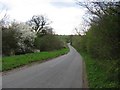 Country road to Braunston-in-Rutland