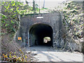 Axminster Tunnel, Thistle Hill