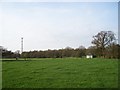 Antenna and cricket pavilion