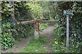 A Turnstile to the Footpath