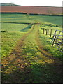 Field near Washbourne Cross