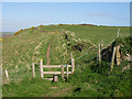 Coast Path