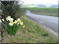 Unclassified Road, Ramshawfield