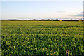 SK7534 : Farmland near Plungar by Kate Jewell