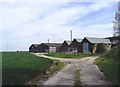 Barns at East Hall, Paglesham