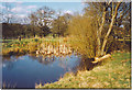 Pond in Walliswood Nature Reserve