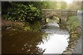 Bridge to Visitor Centre, Sunnyhurst Wood