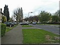 TL2512 : Heronswood Road, Welwyn Garden City, Hertfordshire by Christine Matthews